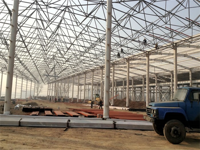 广丰县网架架构工程